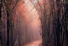 The North Face 100｜甄智貽力竭摘銅　女子三甲大刀屻終極大鬥法.